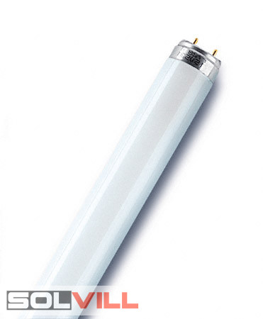 Fénycső 10W T8 G13  6500K Daylight 340 mm Horoz