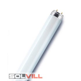 Fénycső 18W T8 G13 6000K 600mm BC